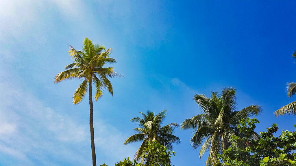 Der Alona Beach auf Bohol