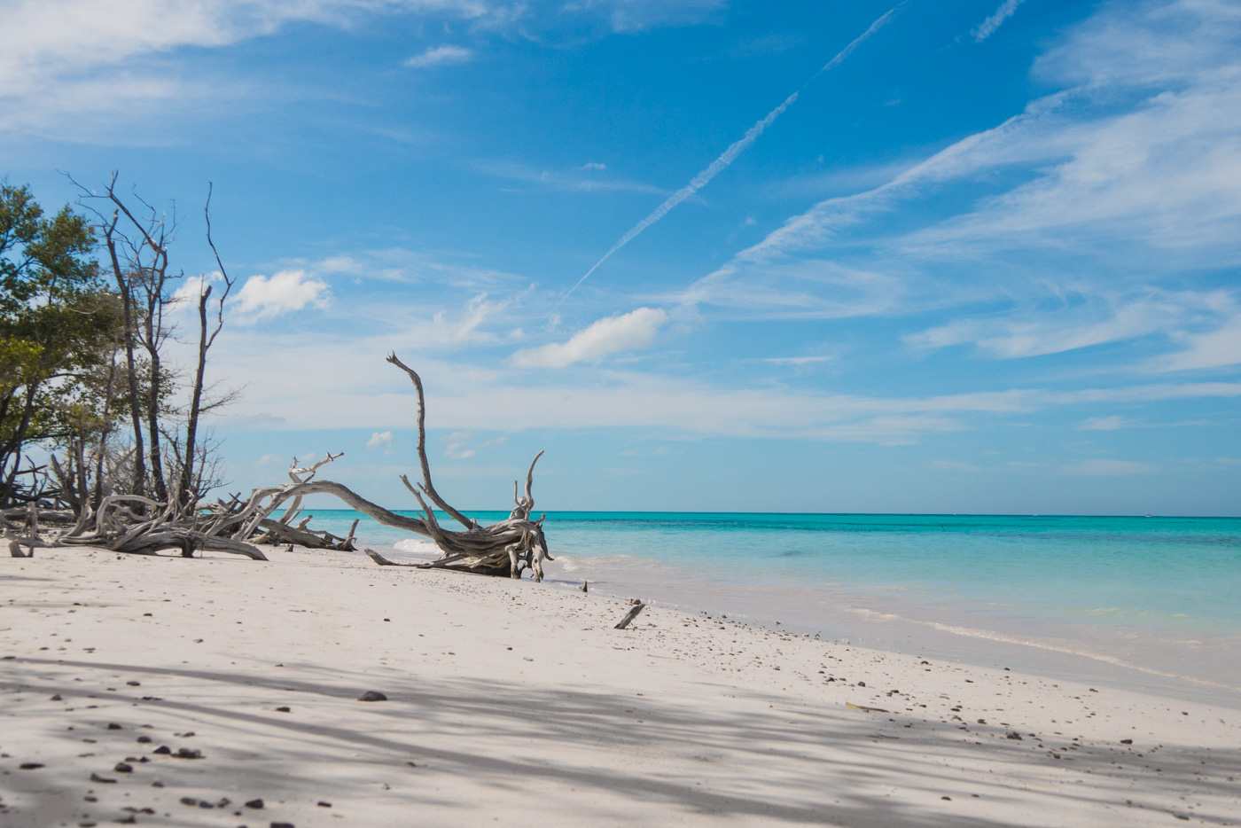 Der Strand Cayo Jutias