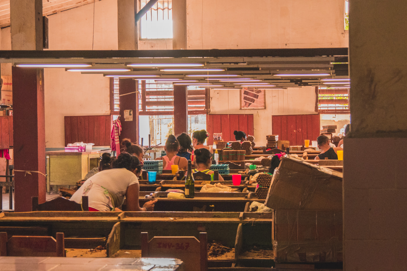 Einblick in eine Zigarrenfabrik in Trinidad