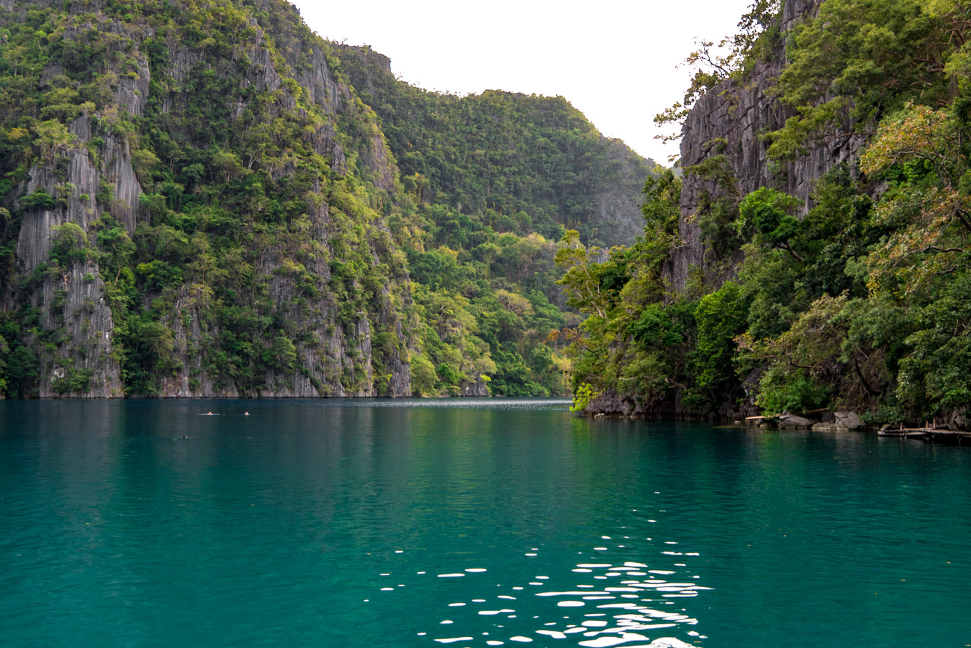 Kayangan Lake bei Busuanga auf den Philippinen