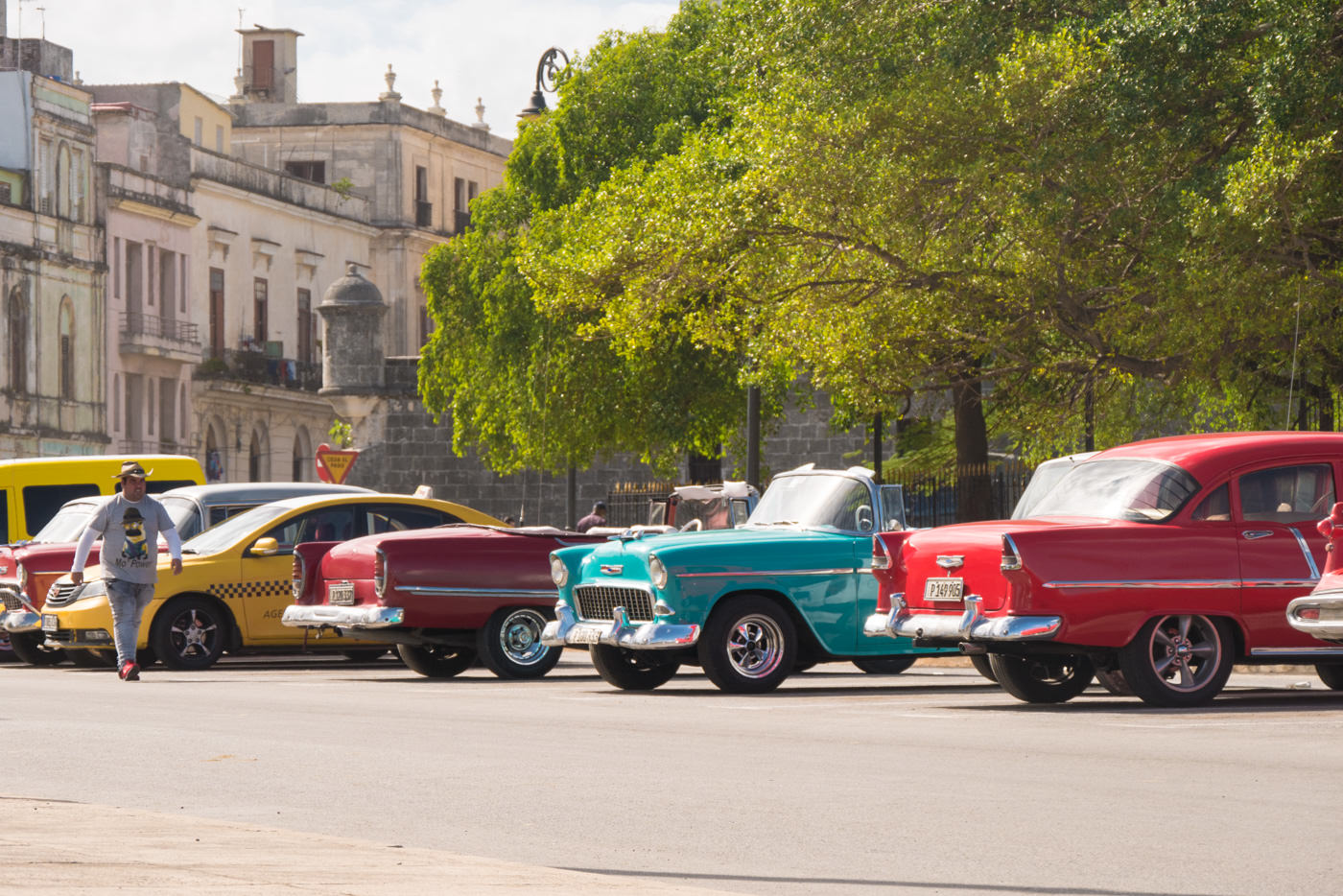 Frisch Polierte Oldtimer in Havanna