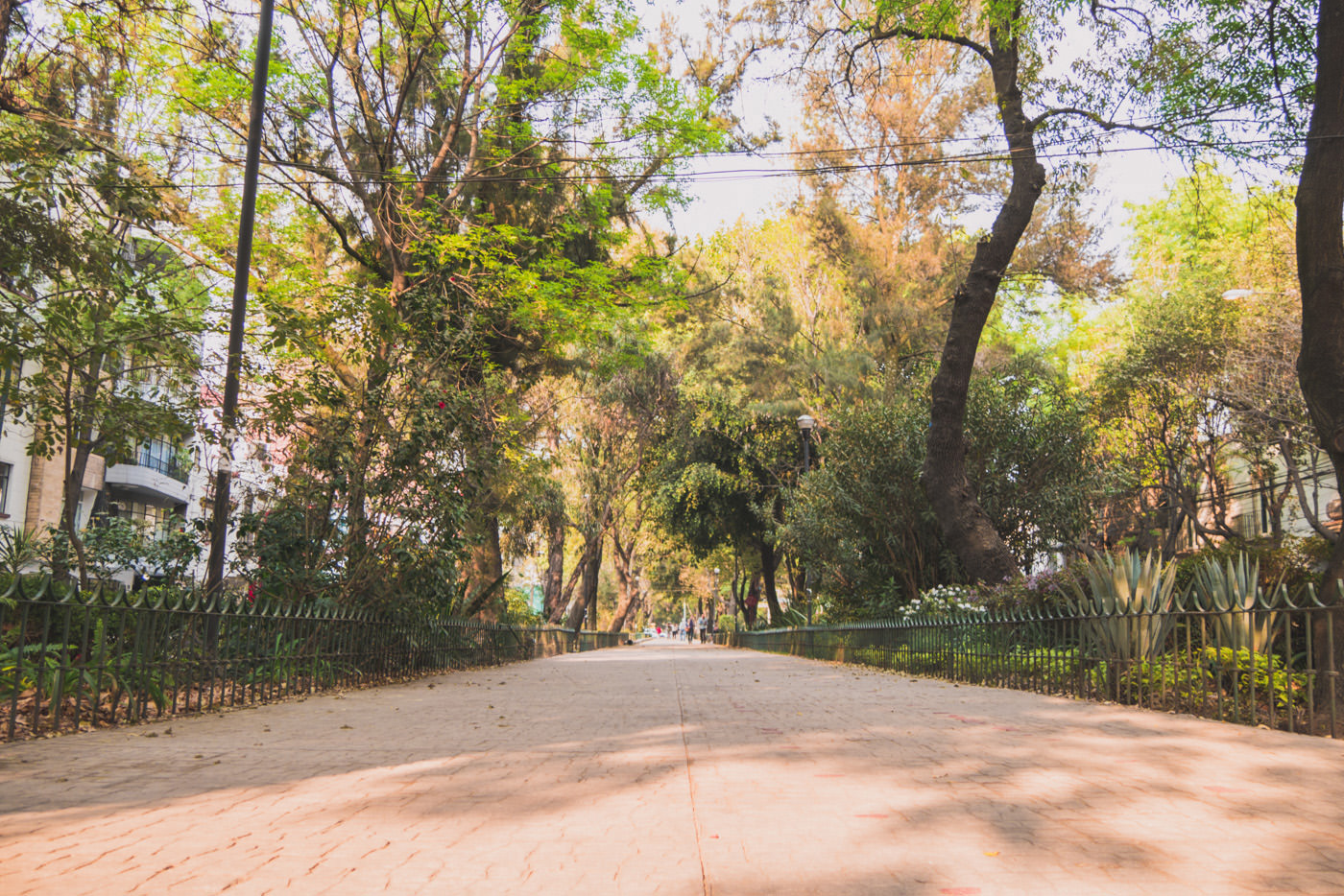 Avenida Amsterdam in La Condesa in Mexiko-Stadt