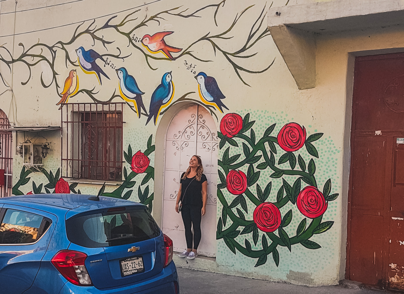 Streetart im Barrio Xanenetla in Puebla in Mexiko