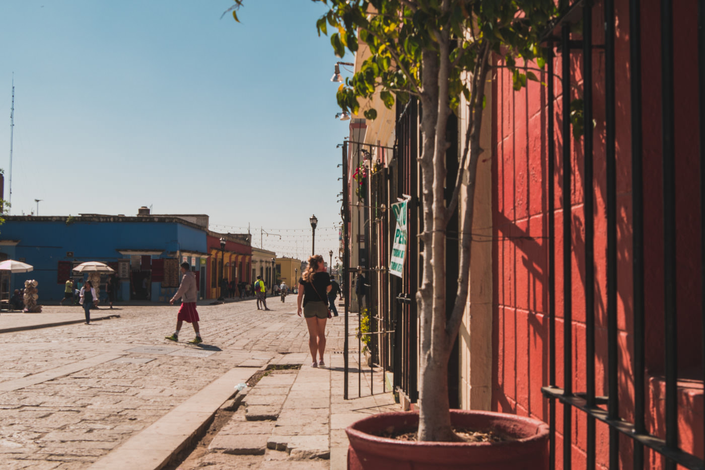 Café's am Plaza Santo Domingo in Oaxaca