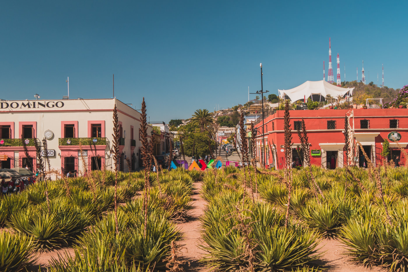 Plaza Santo Domingo in Oaxaca in Mexiko