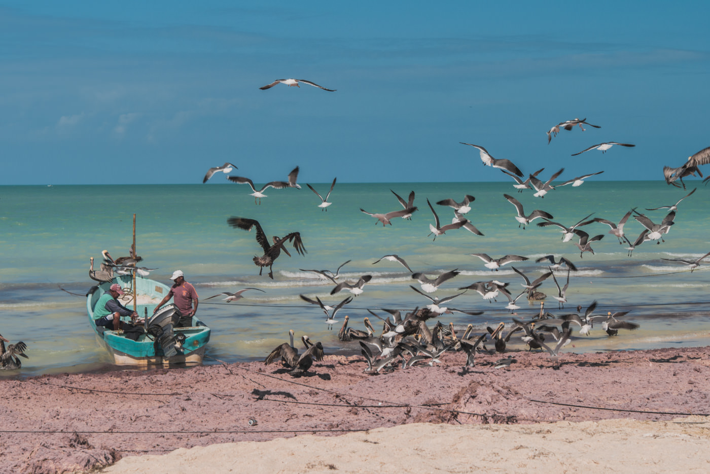 Fischer am Strand von Las Coloradas in Mexiko