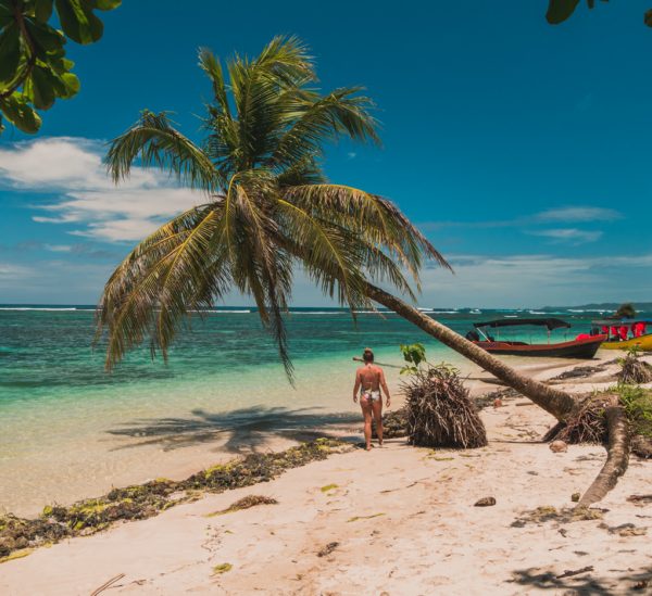 Bastimentos & Cayo Zapatilla – Bocas del Toro’s Highlights!