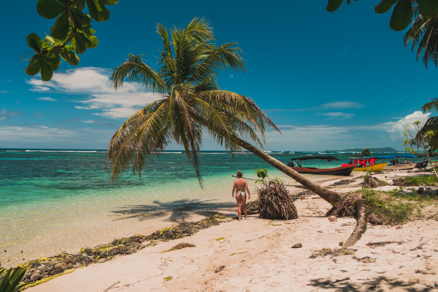 Bastimentos & Cayo Zapatilla – Bocas del Toro’s Highlights!