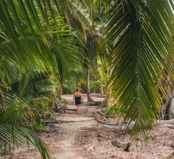 Bocas del Toro & die Isla Colon – Inselparadies Panamas?