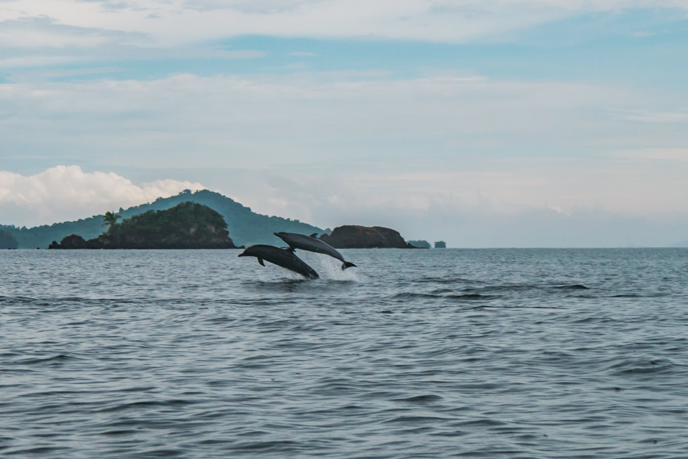 Coiba Nationalpark – DAS Highlight in Panama