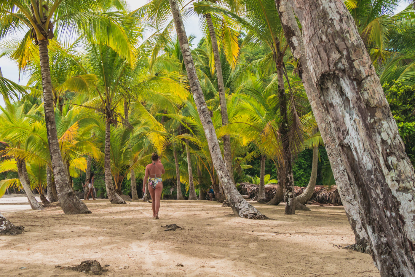 Julia zwischen Palmen im Coiba Nationalpark