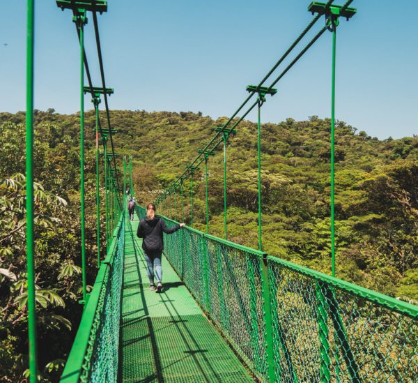 Monteverde – Nebelwald erleben in Costa Rica