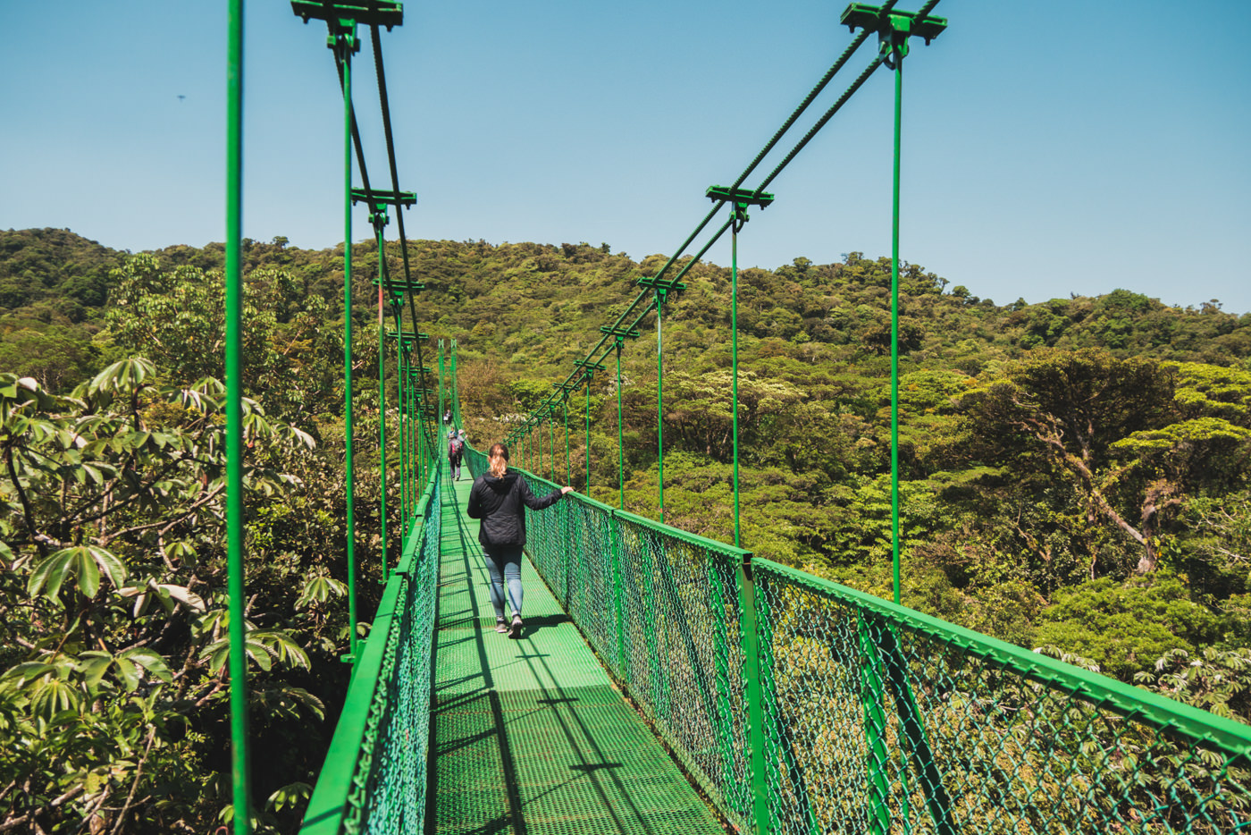 Julia auf der Hängebrücke im Monteverde Nationalpark