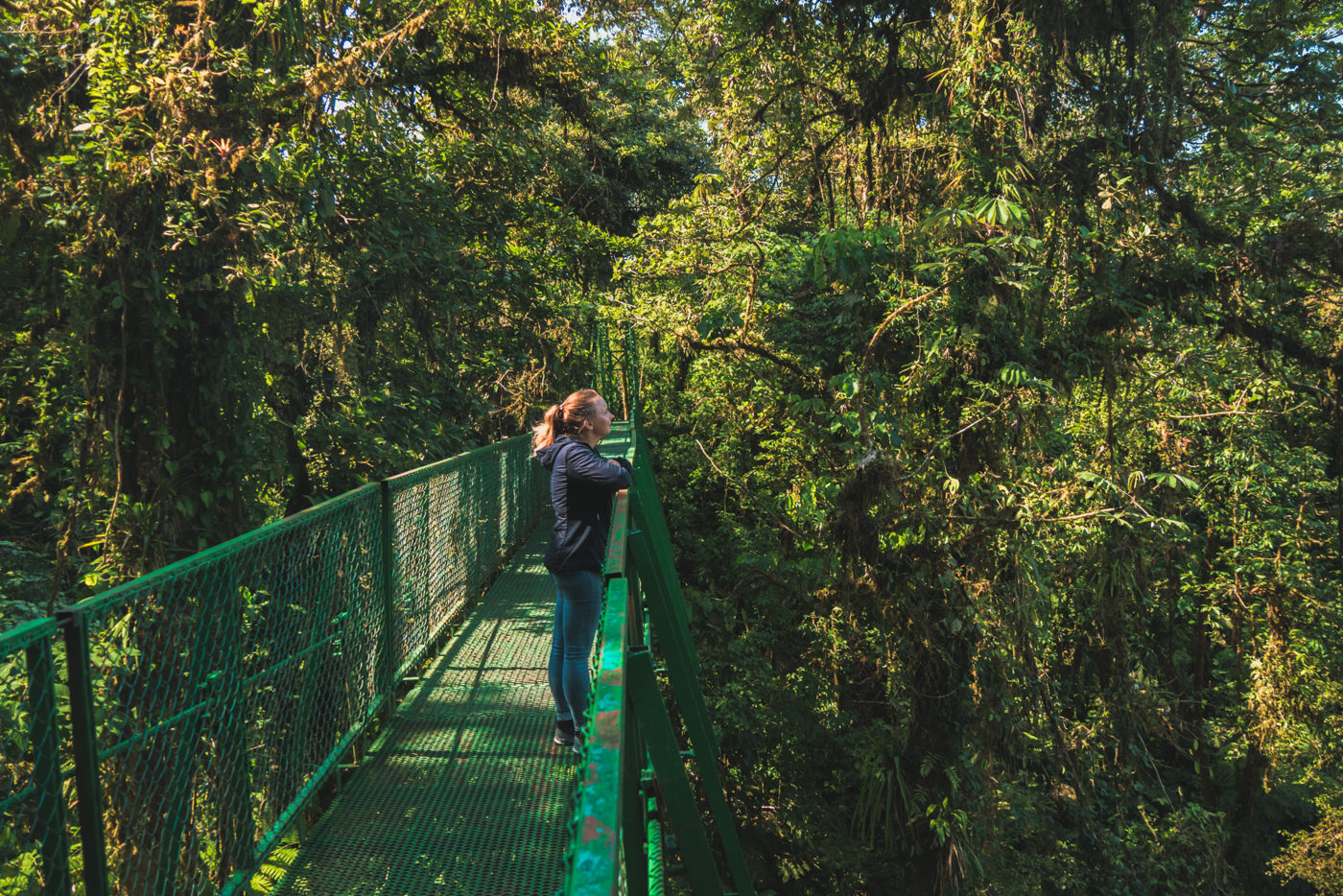 Julia auf der Hängebrücke im Monteverde Nationalpark