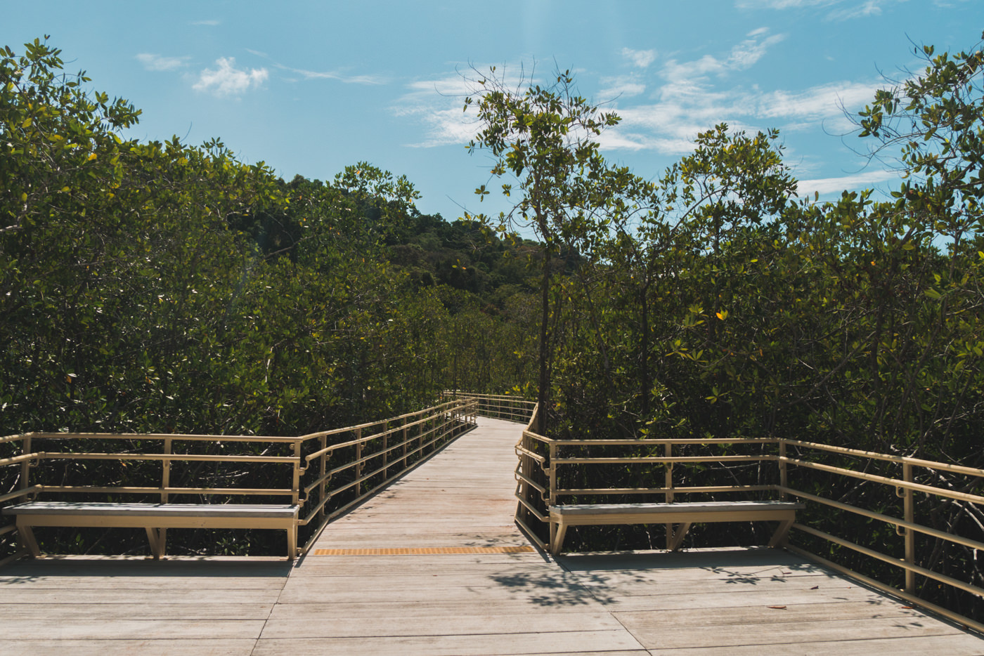 Weg im Manuel Antonio Nationalpark