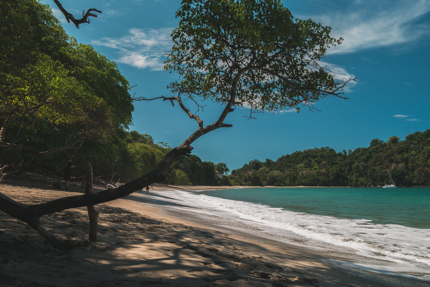 Strand im Manuel Antonio Nationalpark