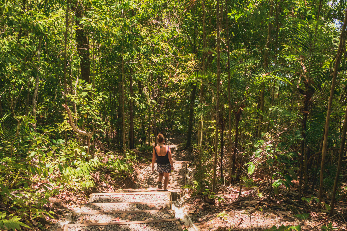 Wandern im Manuel Antonio Nationalpark