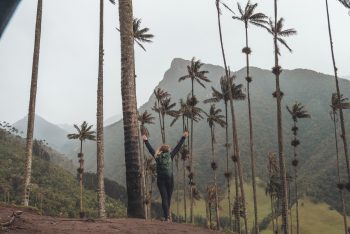 Julia unter den Wachspalmen im Valle de Cocora