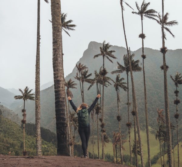 Valle de Cocora – zwischen Wachspalmen & Regenwolken.