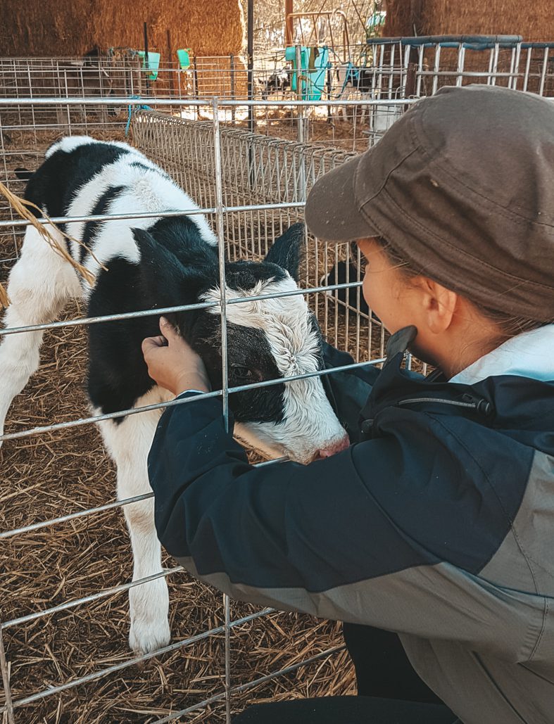 Julia mit Kalb auf der Farm