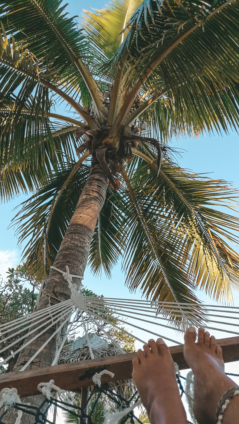 Hängematte unter Palmen auf South Sea Island