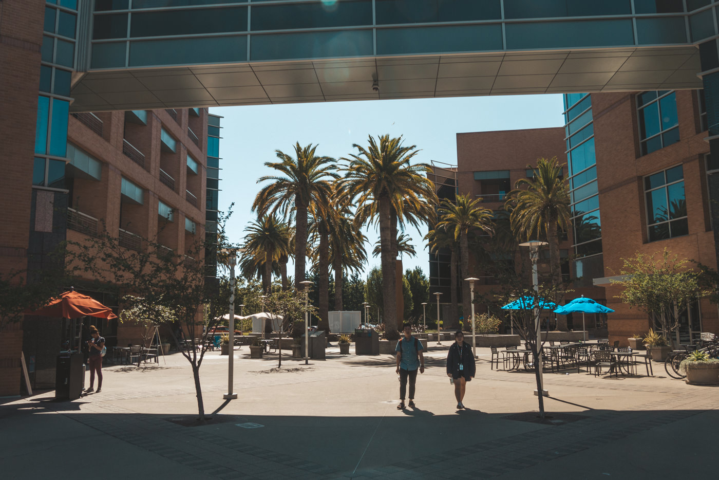 Google Campus im Sillicon Valley