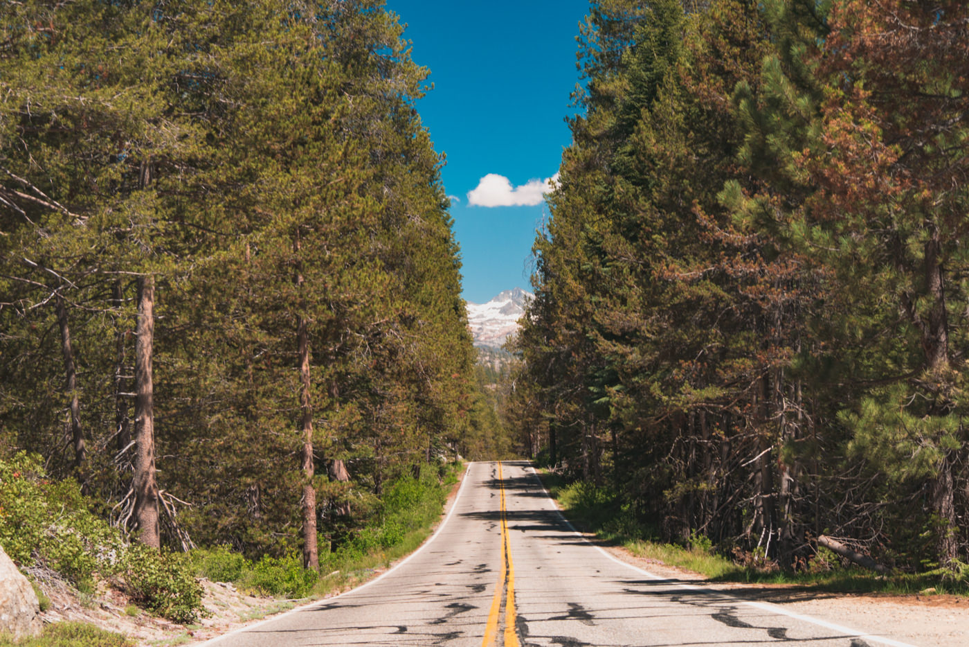 Straße im Yosemite Nationalpark