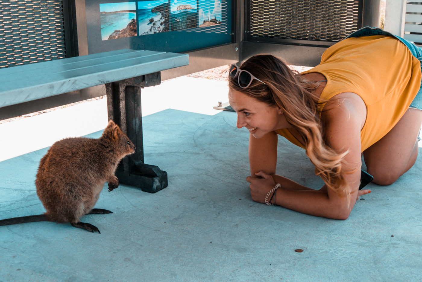 Julia mit einem Quokka auf Rottnest Island