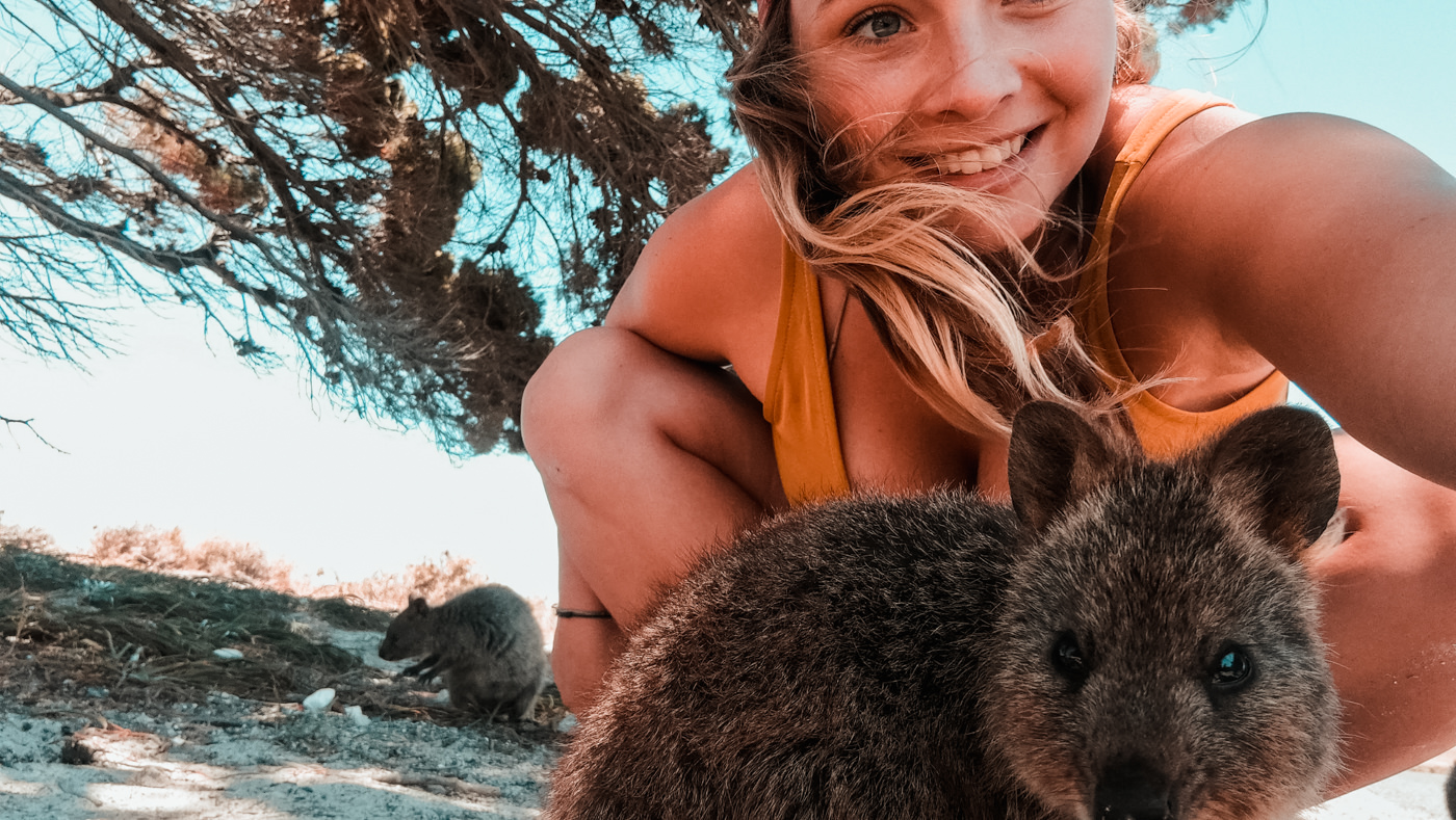 Selfie mit einem Quokka auf Rottnest Island