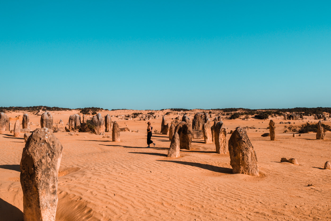 Pinnacle Wüste in Westaustralien