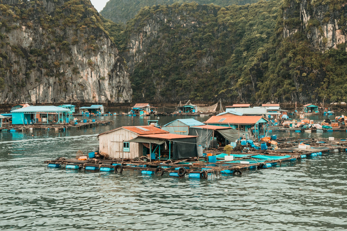 Fisch Farm in der Halong Bucht, Vietnam