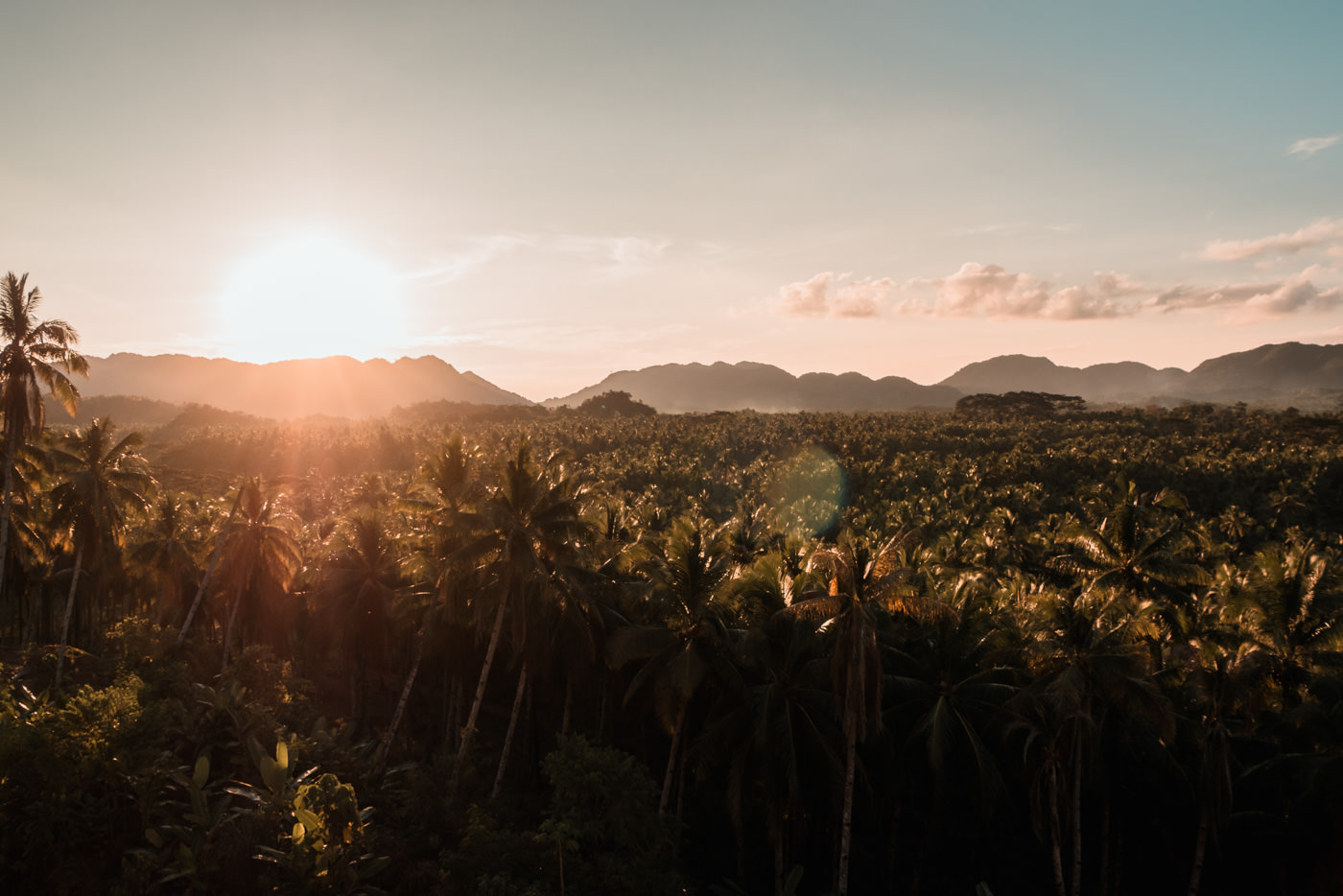 Insel der Palmen, Siargao, Philippinen