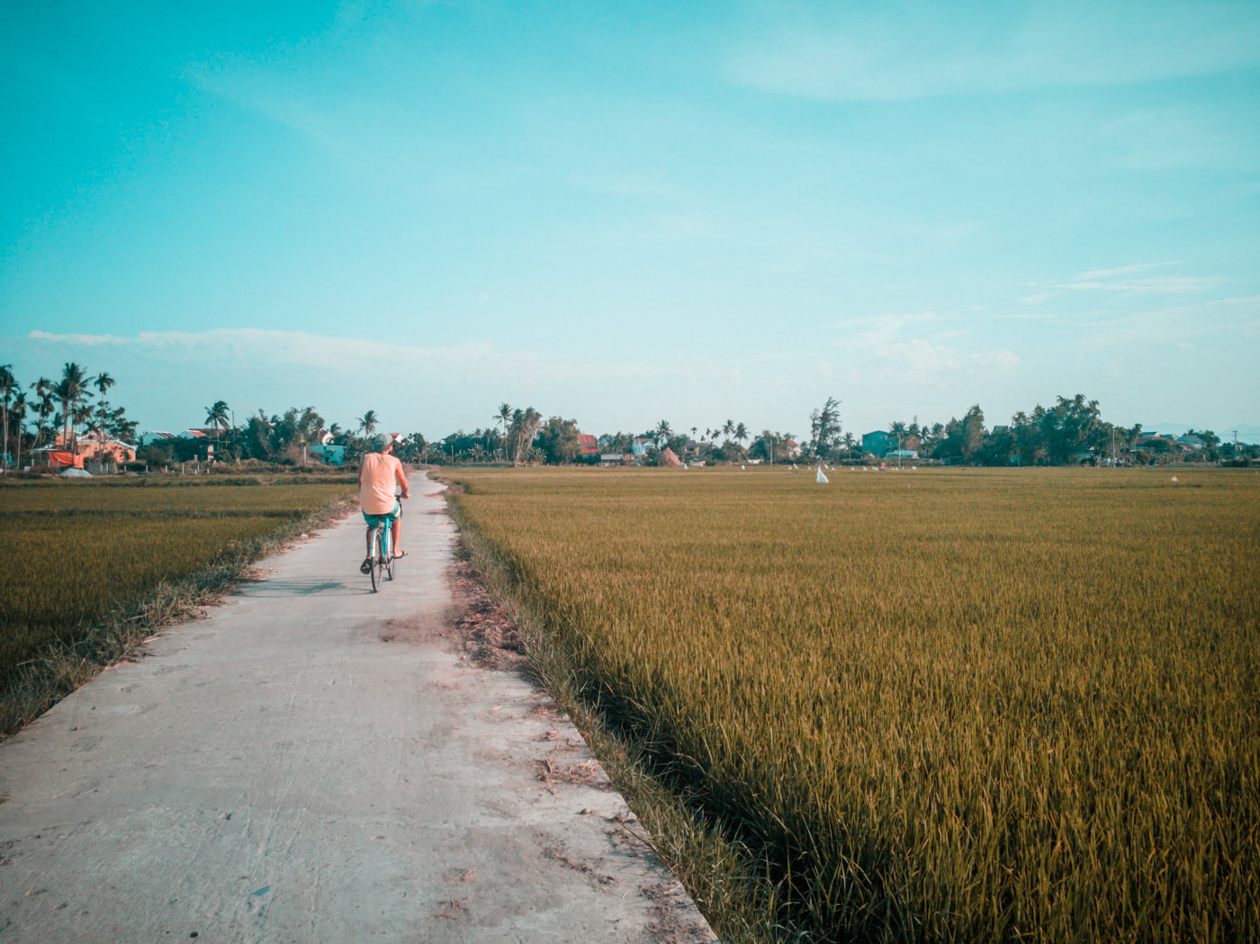 Matthias mit dem Rad in den Reisfeldern bei Hoi An