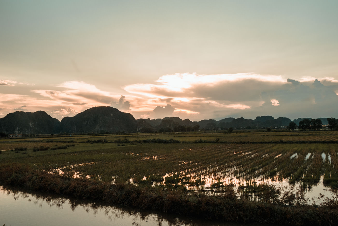 Reisfelder in der Ninh Binh Region in Vietnam