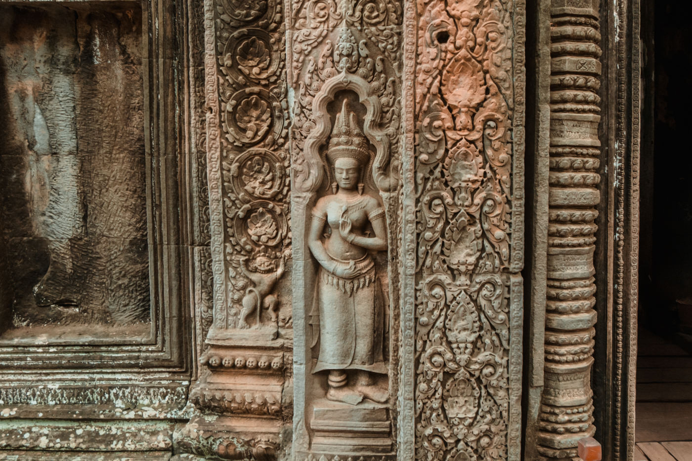 Details im Ta Prohm Tempel, Angkor Wat, Kambodscha