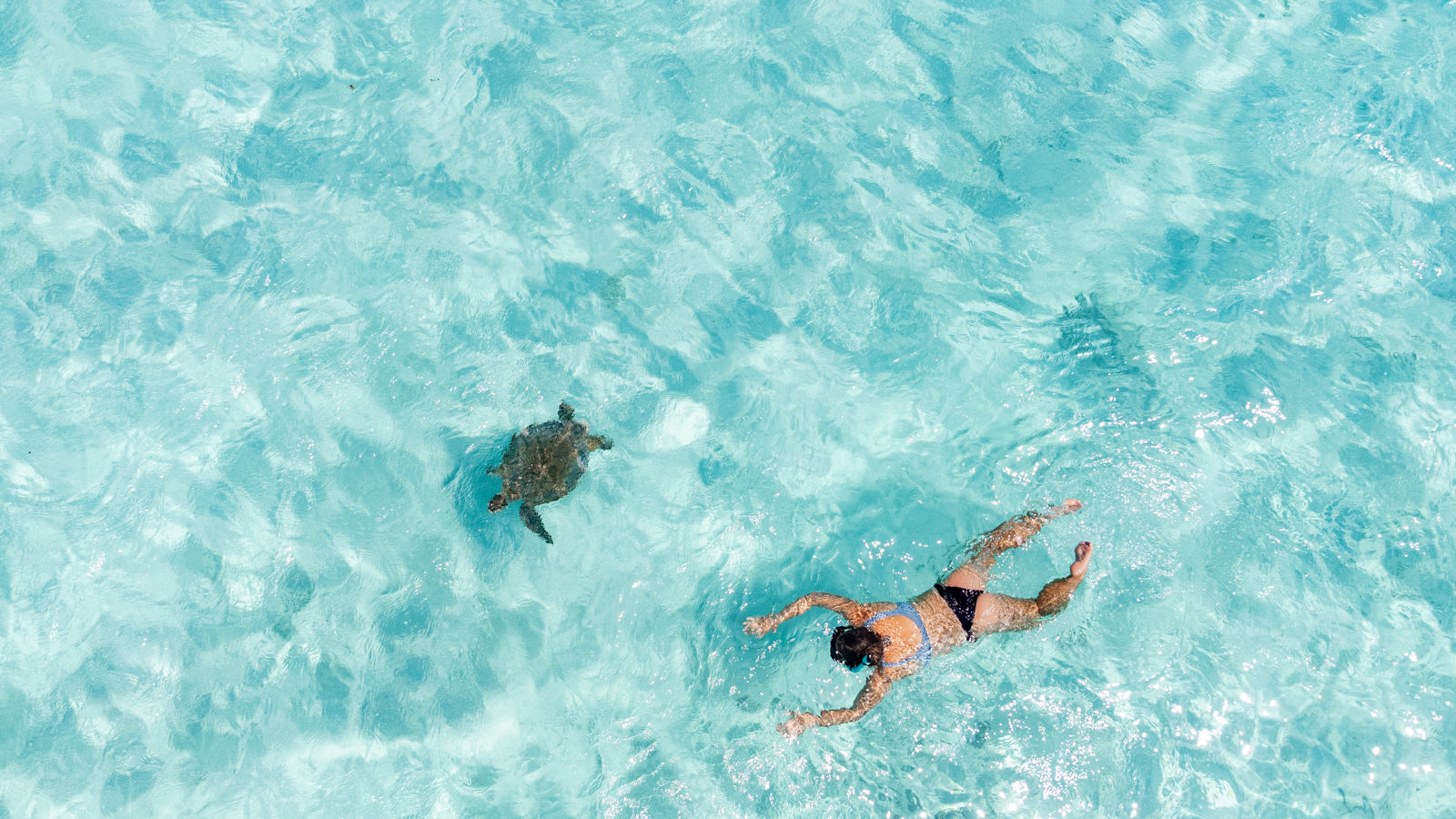 Julia schnorchelt mit einer Schildkröte vor Onok Island