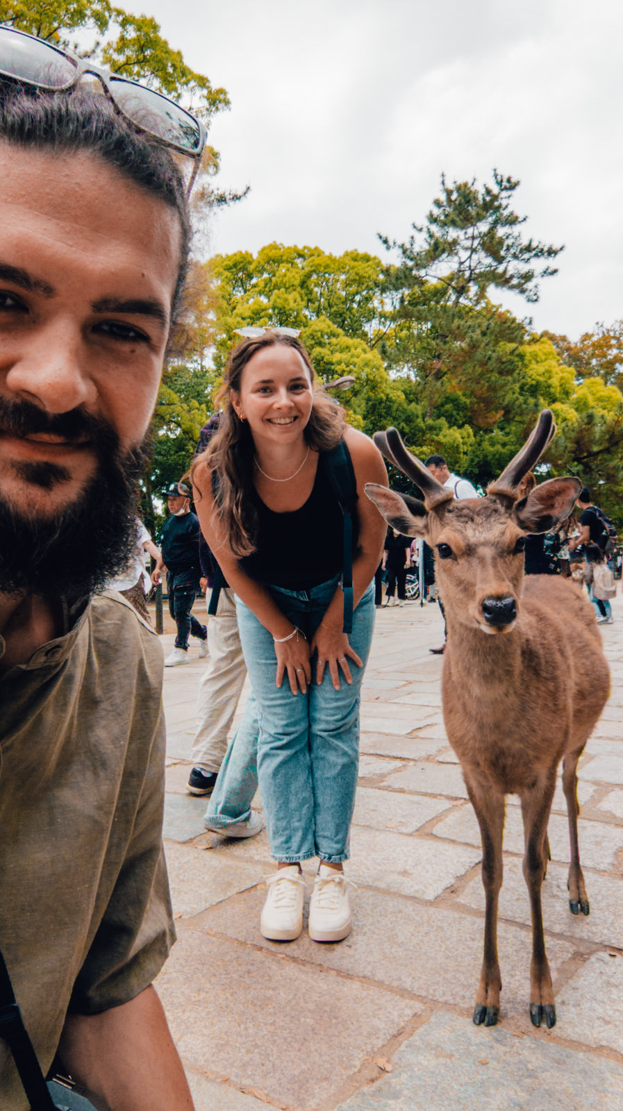 Selfie mit einem Hirsch in Nara