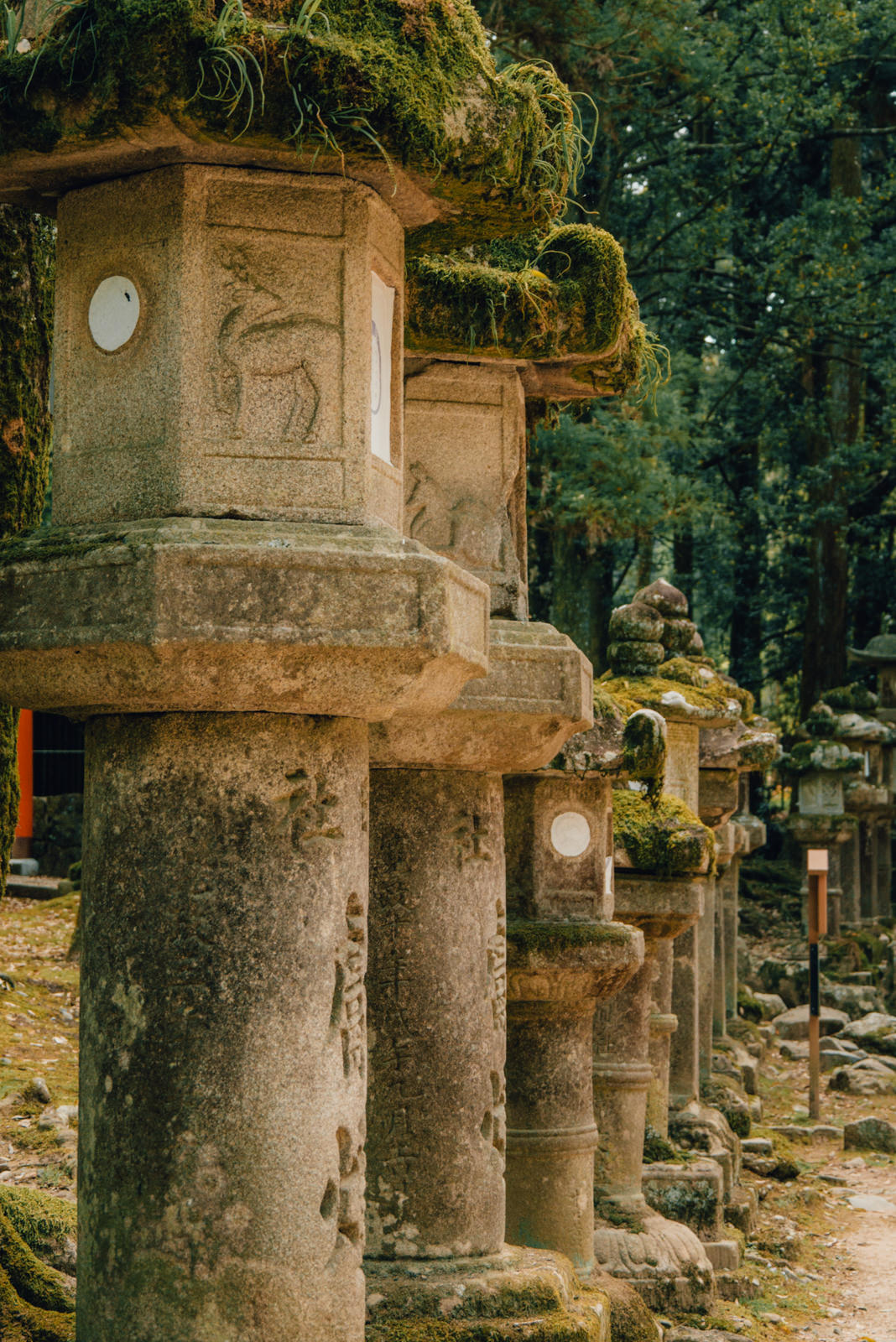 Steinlaternen in Nara, Japan