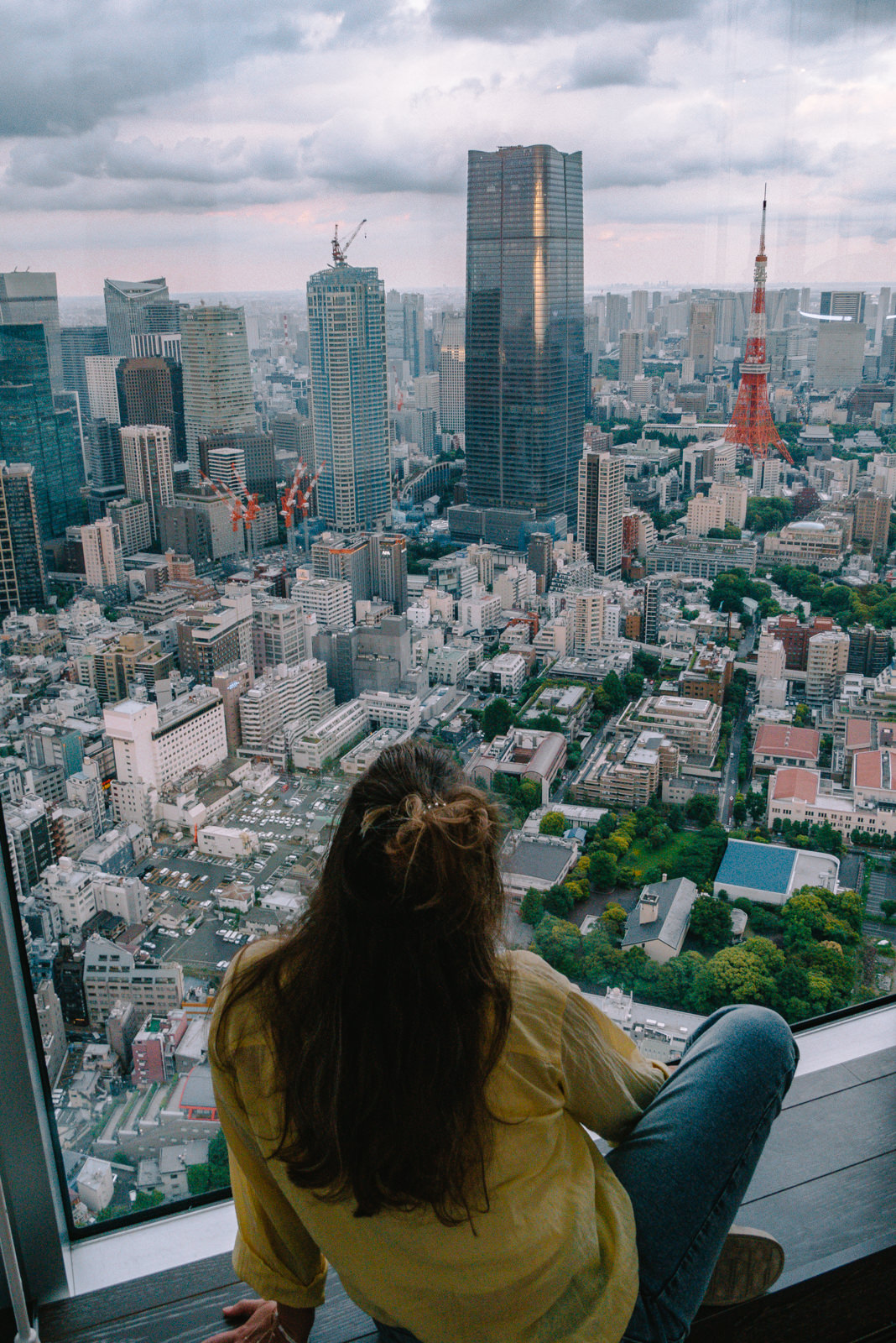 Ausblick auf Tokio und den Tokyo Tower