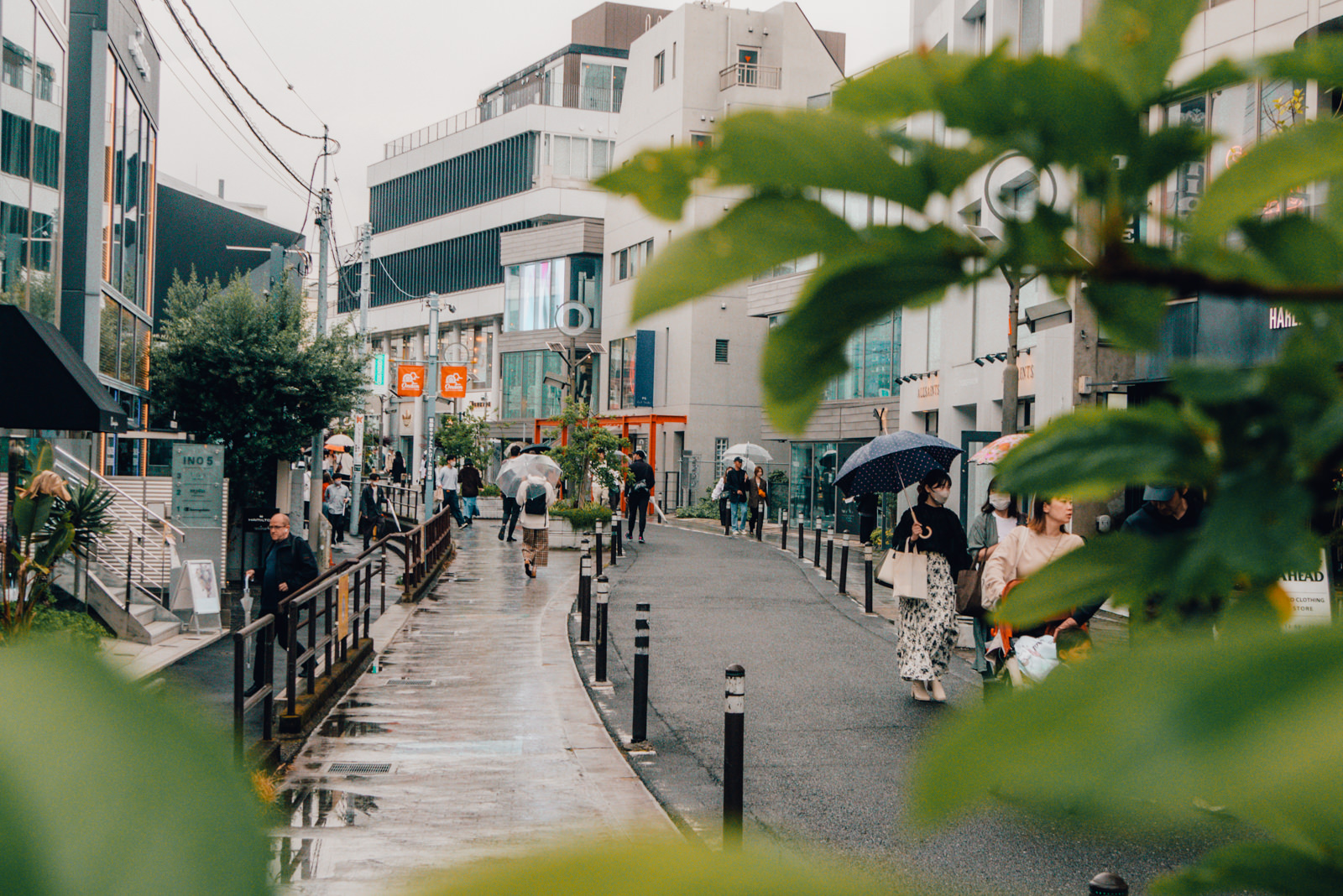 Cat Street in Tokio