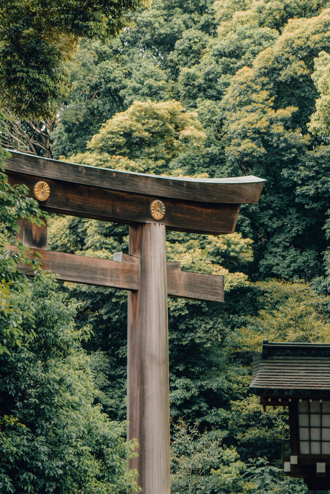 Holz Torii in Tokio