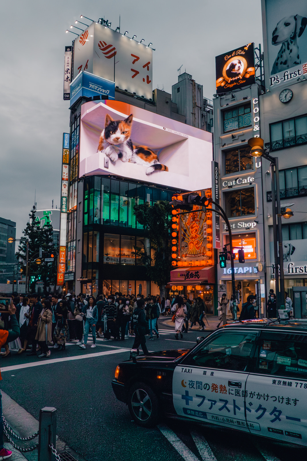 3D Katze in Shinjuku, Tokio