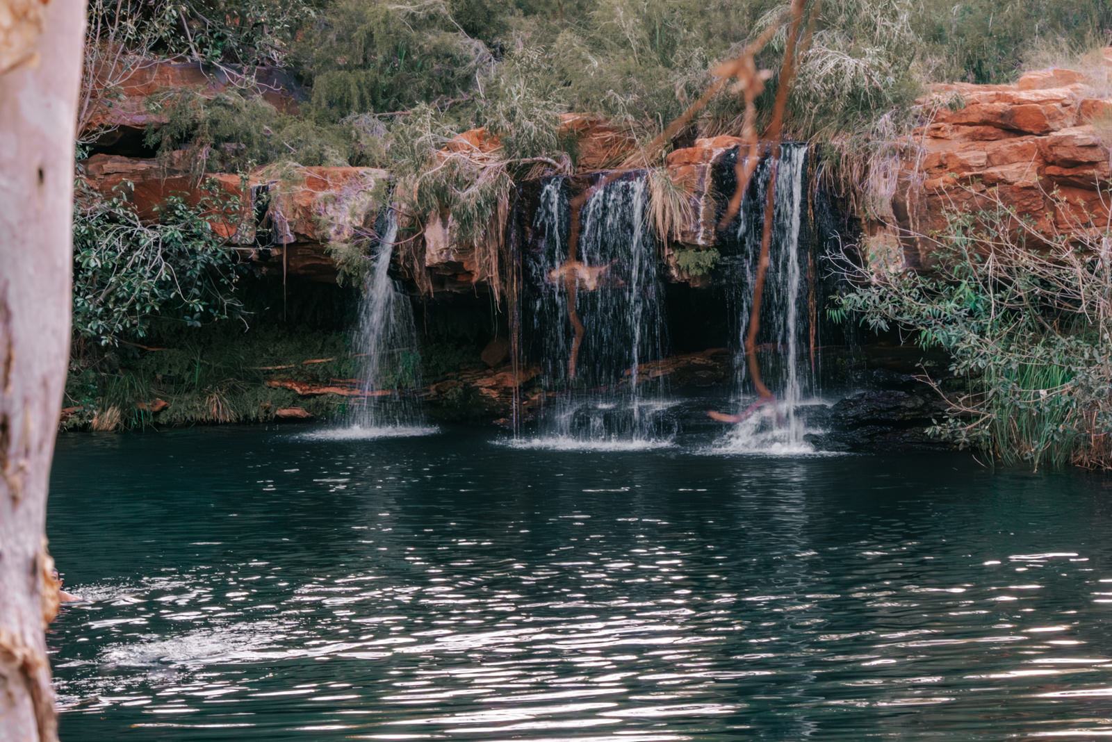 Fern Pool im Karijini Nationalpar