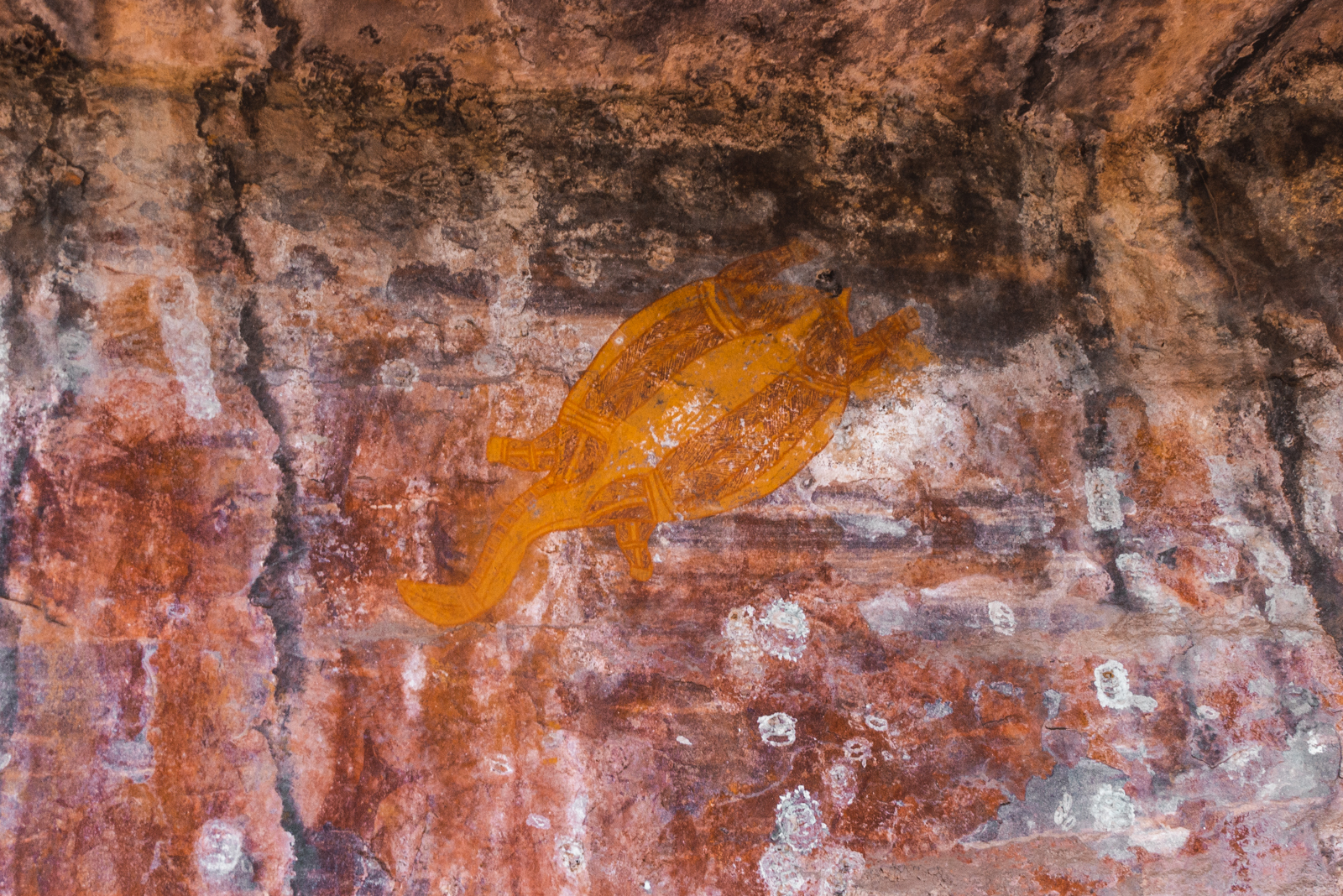 Aboriginal Walart im Kakadu Nationalpark