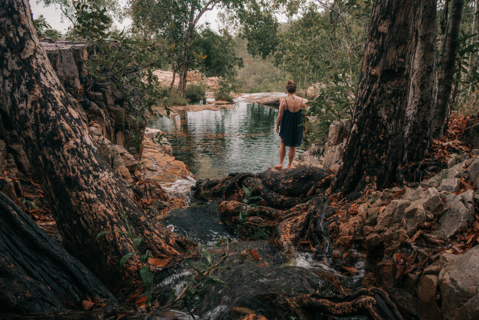 Greenant Creek im Litchfield Nationalpark