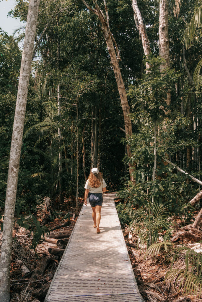 Trail im Litchfield Nationalpark, Northern Territory