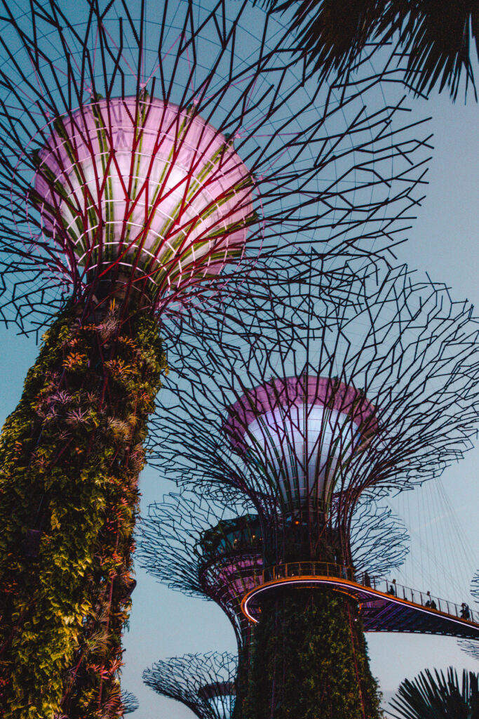 Supertrees im Garden by the Bay in Singapur