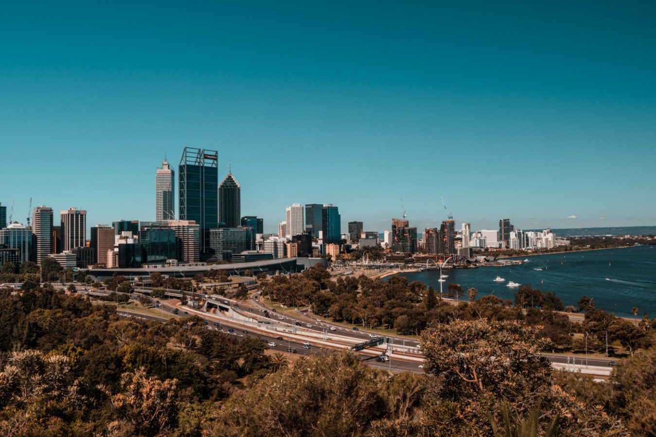 Aussicht vom Kings Park auf die Skyline von Perth
