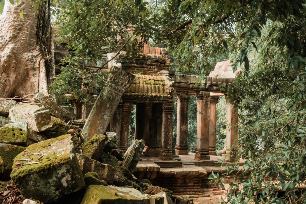 Ta Prohm Tempel, Angkor Wat, Kambodscha
