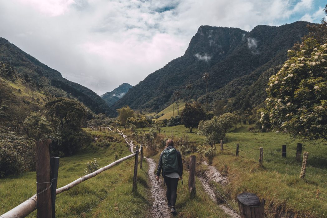 Wanderung durch das Valle de Cocora, Salento, Kolumbien